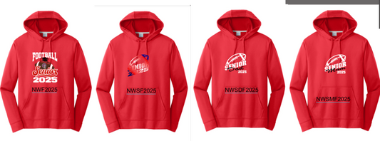 NEW Senior Football Hoodies with name and number on back